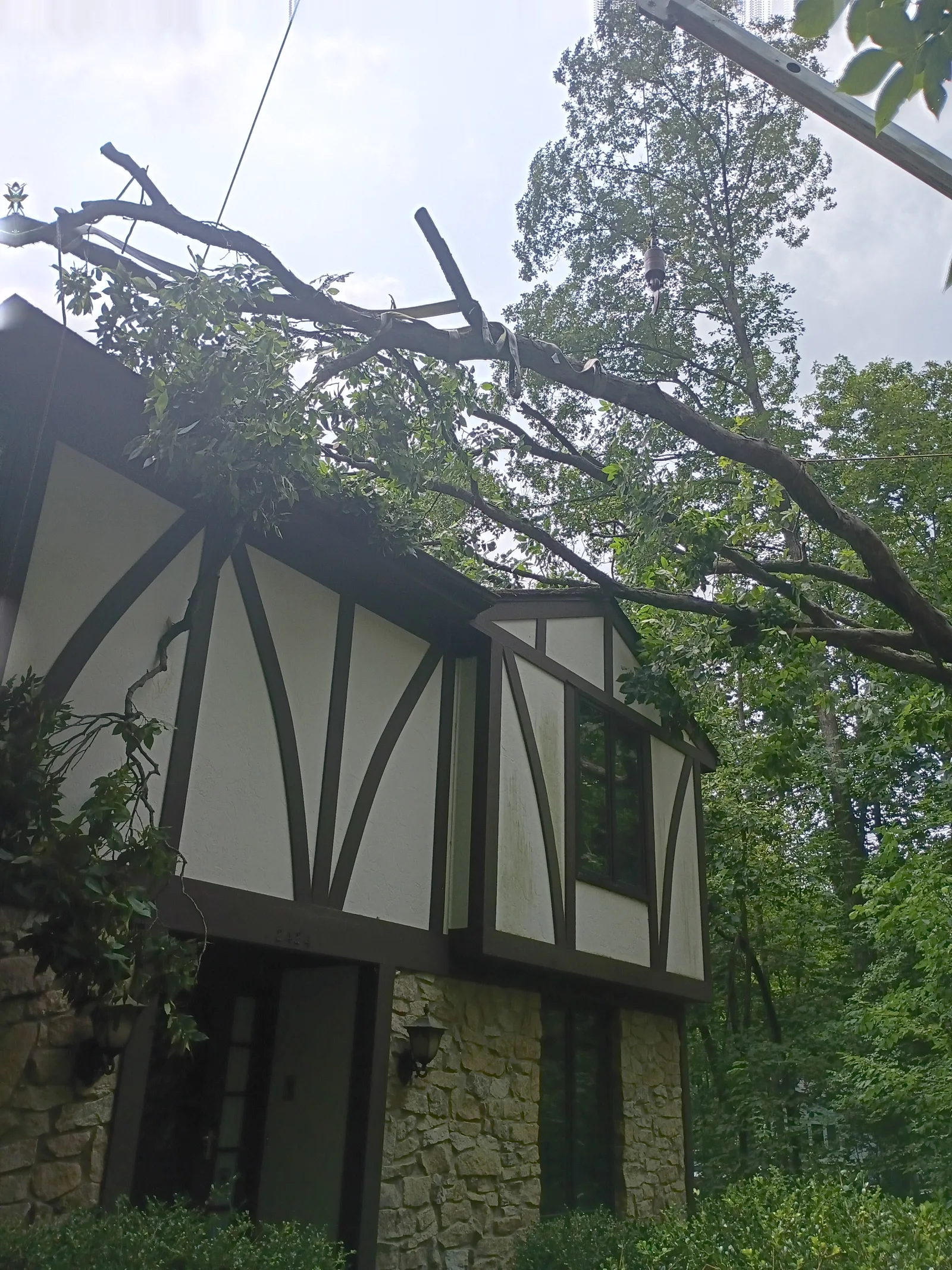 A large fallen tree branch resting on the roof of a stucco and stone house